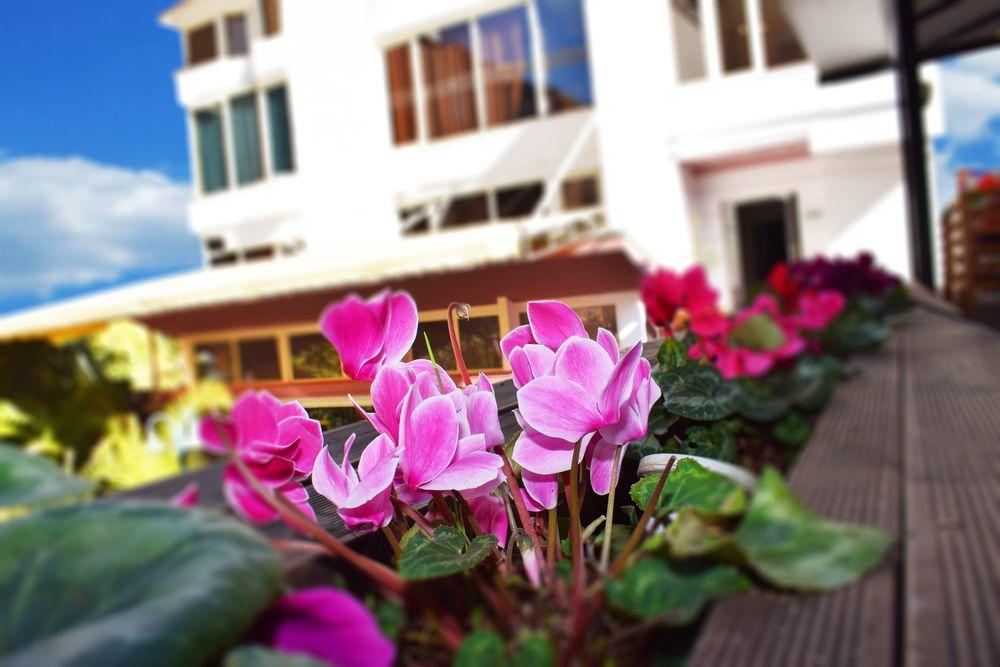 Royal Vila Hotel ติรานา ภายนอก รูปภาพ